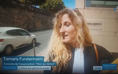 France 3 régions : référé liberté chêne remarquable