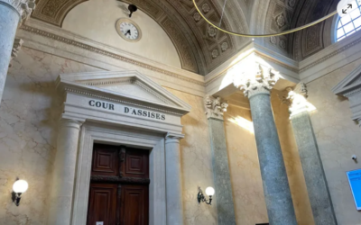 Féminicide. Réclusion criminelle à perpétuité pour avoir étranglé et poignardé son ex-femme.